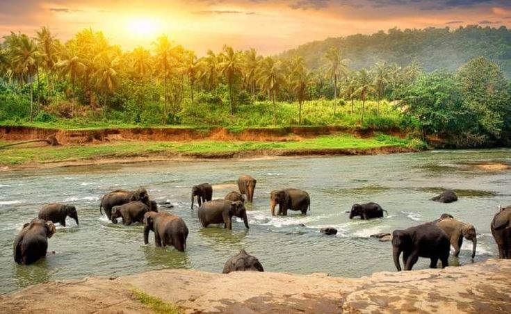 Thekkady destination